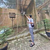 Kế