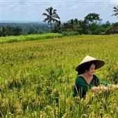 Cổ