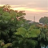 Nh