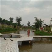 Mi