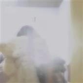 Tr