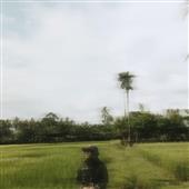 Bả