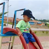 Vậ