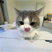Hà