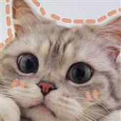 Să