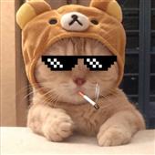Cu