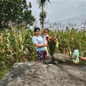 Bữ