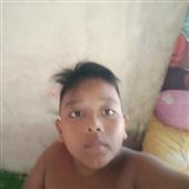 Cá