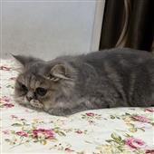 Ti