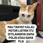 Bả