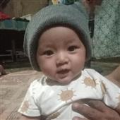 Bộ