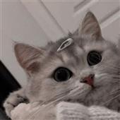 Th