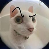 Đư