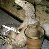 Câ