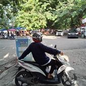 Si