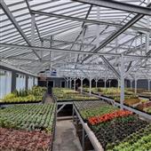Vậ