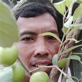 Al