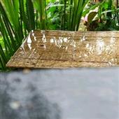 CỪ