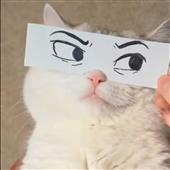 Xí