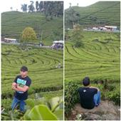 Bả