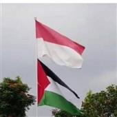 Gi