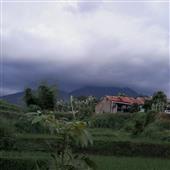 Ôn