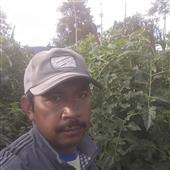 Xú