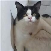 Bạ