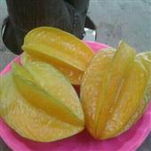 Mạ
