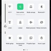 FI