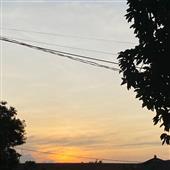 Cờ