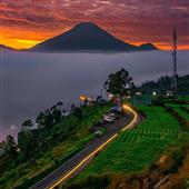 sự