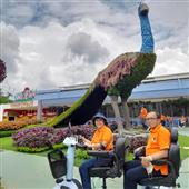 Re