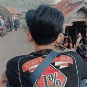 Vũ