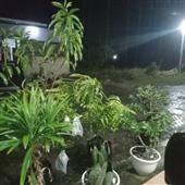Ga