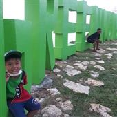 sự