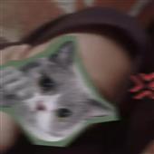 Th