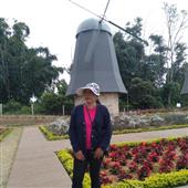 Cổ