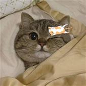 So