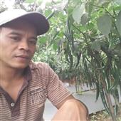 Vậ