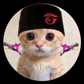 Xe