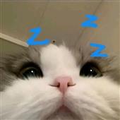 Câ