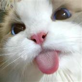 Tr