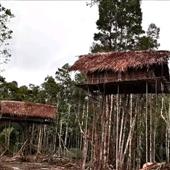 Tỷ