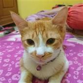 Lễ