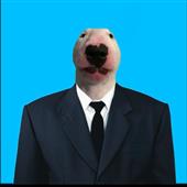 Cu