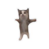 Mù