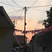 Bí