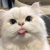 Ya