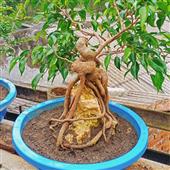 Vậ